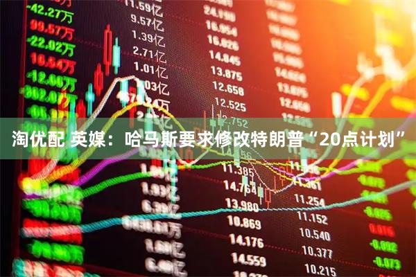 淘优配 英媒：哈马斯要求修改特朗普“20点计划”