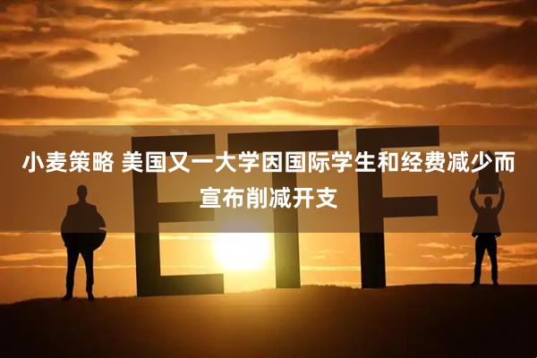 小麦策略 美国又一大学因国际学生和经费减少而宣布削减开支