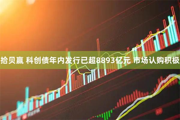 拾贝赢 科创债年内发行已超8893亿元 市场认购积极