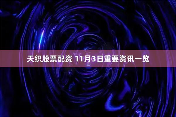 天织股票配资 11月3日重要资讯一览